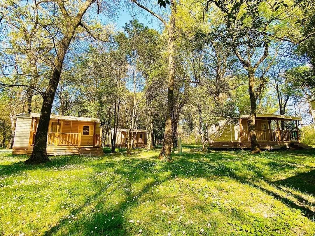 Camping en Ardeche Le Lion Bourg-Saint-Andéol Extérieur photo