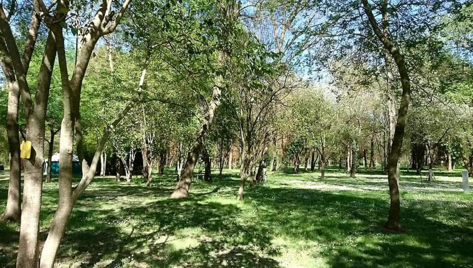 Camping en Ardeche Le Lion Bourg-Saint-Andéol Extérieur photo
