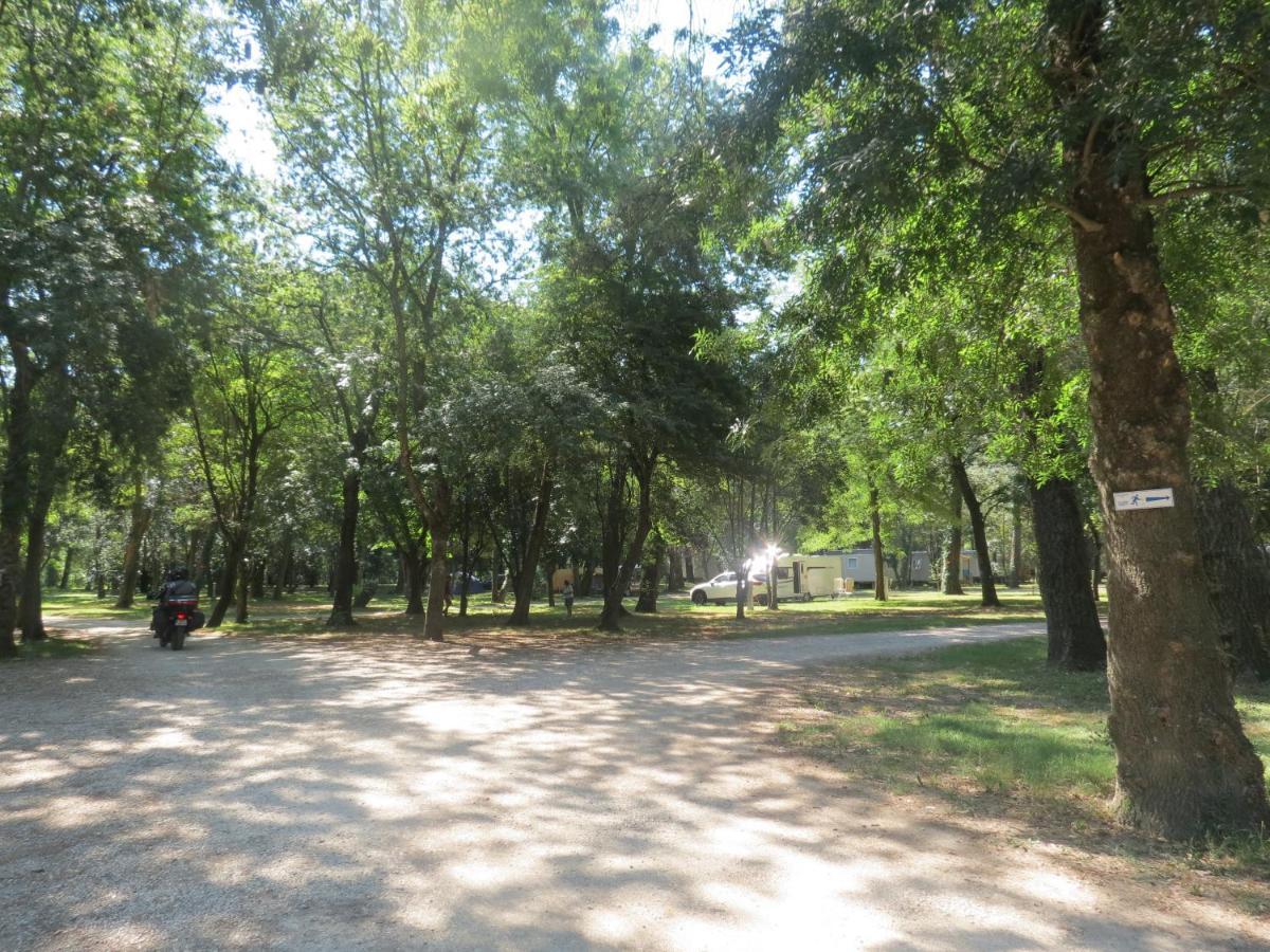Camping en Ardeche Le Lion Bourg-Saint-Andéol Extérieur photo